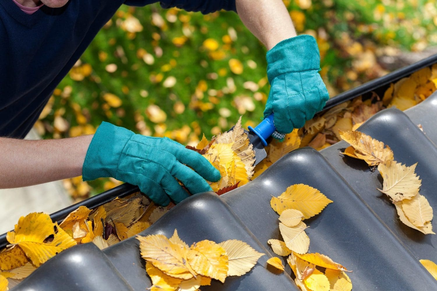Read more about the article The Importance Of Cleaning Your Gutters