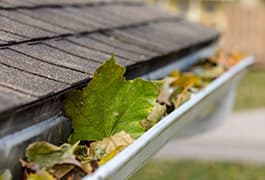 Professional gutter cleaner removing debris from residential gutters