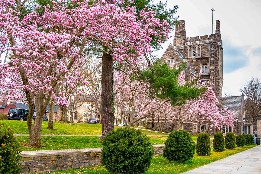 22. Princeton NJ